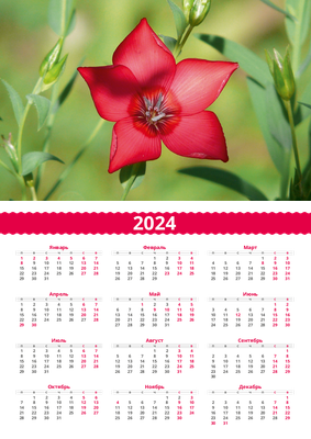 Вертикальные календари-постеры A4 - Аленький цветочек Лицевая сторона