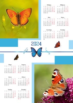 Вертикальные календари-постеры A4 - Бабочки Лицевая сторона