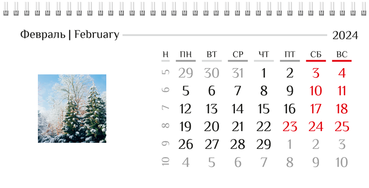Квартальные календари - Природа Февраль