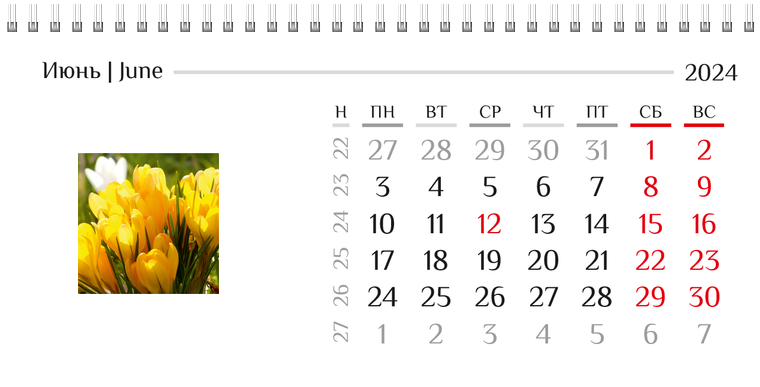 Квартальные календари - Природа Июнь