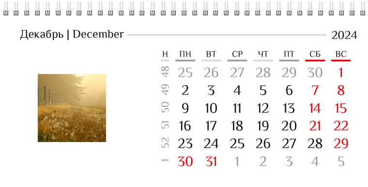 Квартальные календари - Природа Декабрь